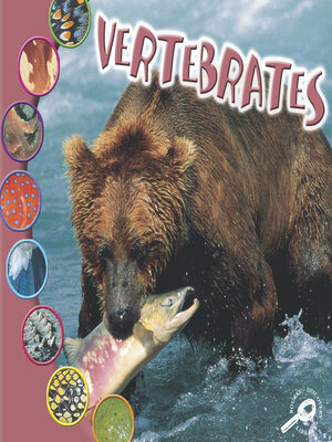 cover image of Vertebrates